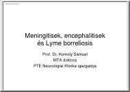 Prof. Dr. Komoly Sámuel -