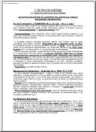 Áfra Krisztina - Vallás és kultúra