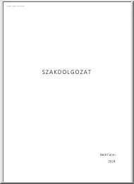 Bedi Fanni - Kórházgazdálkodás a Zala vármegyei Szent Rafael Kórház példáján bemutatva