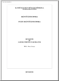 Bitay György - Fuzzy irányítástechnika