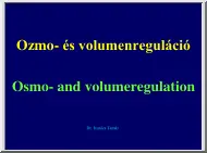 Dr. Ivanics Tamás - Ozmo- és volumenreguláció