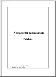 Nemzetközi gazdaságtan példatár