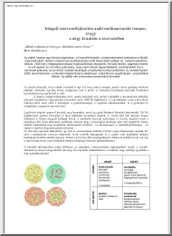 Horváth Anikó - Integrál szervezetfejlesztési audit multinacionális terepen, avagy a négy kvadráns a szervezetben