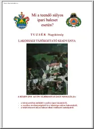 Mi a teendő súlyos ipari baleset