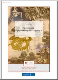 Hervay Péter - Szerszámgép sajátpontosságának vizsgálata II.