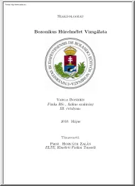 Varga Bonbien - Bozonikus húrelmélet