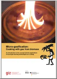 Christa Roth - Micro-gasification, Cooking with Gas from Biomass
