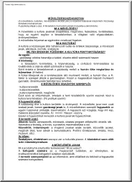 Művelődésgazdaságtan jegyzet