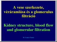 Dr. Ivanics Tamás - A vese szerkezete, véráramlása és a glomerulus filtráció