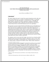 Beneria-Floro - Labor Market Informalization, Income Volatility and Economic Insecurity In Bolivia and Ecuador