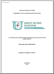 Fabricius-Ferke György - A controlling informatikai módszertanának innovációs lehetőségei