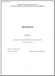 Molnár Tímea - Beszámoló a