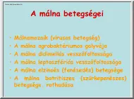 A málna betegségei