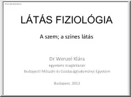 Dr. Wenzel Klára - A szem, a színes látás