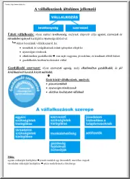 Nagyúr Gábor - A vállalkozások