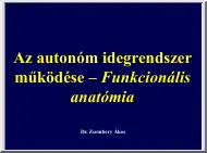 Dr. Zsembery Ákos - Az autonóm