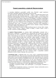 Nemzet, nemzetiség, a cigányok
