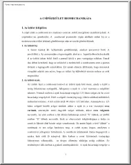A csípőizület biomechanikája