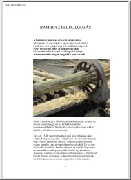 Bambuszfeldolgozás