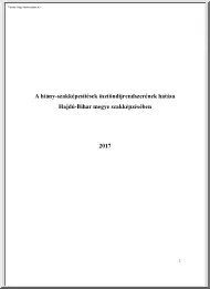 A hiány-szakképesítések ösztöndíjrendszerének hatása Hajdú-Bihar megye szakképzésében