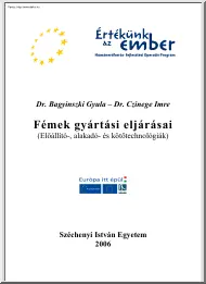 Bagyinszky-Czinege - Fémek gyártási