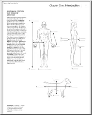Kaplan anatomy coloring book