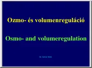 Dr. Kollai Márk - Ozmo- és volumenreguláció