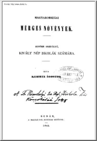 Kubinyi Ágoston - Magyarországi