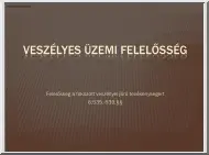 Veszélyes üzemi felelősség