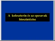 A koleszterin és az epesavak bioszintézise