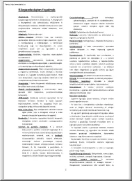 A közgazdaságtani fogalmakról