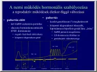 A nemi működés hormonális szabályozása