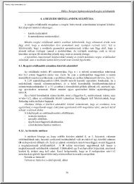 A rezgési erőállandók számítása