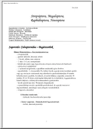 Coleopteroidea (Bogárszerűek), Neuropteroidea (Recésszárnyú-formájúak)