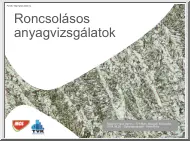 Nagyné Frank Ágnes - Roncsolásos