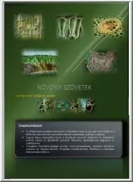 Vizkievicz András - Növényi