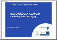 Szilágyi Tamás - Szociológia alapjai