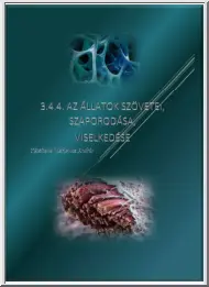 Vizkievicz András - Az állatok