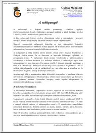 A méhpempő