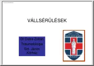 Dr. Detre Zoltán - Vállsérülések