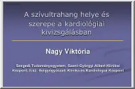 Nagy Viktória - A szívultrahang helye