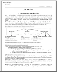 Dr. Margitán Éva - A vagyon elleni