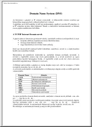 Schubert Tamás - Hálózatok