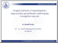 Dr. Dezsőfi Antal - Vizsgáló
