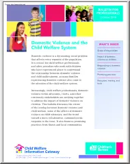 Domestic Violence and the Child Welfare System