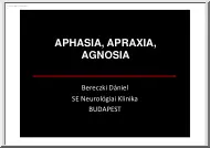 Bereczki Dániel - Aphasia, apraxia, agnosia
