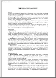 Termelésmenedzsment