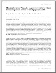 Hernández-Sepúlveda-Richards - The Architecture of Phaseolus Vulgaris Root is Altered when a Defense Response is Elicited by an Oligogalacturonide
