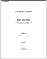 Zitong Li - Strategic Audit on Tesla