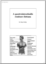 Dr. Benyó Zoltán - A gasztrointesztinális rendszer élettana